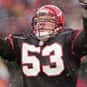 Tom Tumulty is listed (or ranked) 44 on the list The Best Cincinnati Bengals Linebackers of All Time