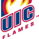 UIC Flames men's basketball on Random Best Horizon League Basketball Teams