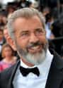 Mel Gibson on Random Celebrities Accused of Horrible Crimes