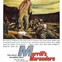Jeff Chandler, Peter Brown, John Hoyt   Merrill's Marauders is a 1962 Cinemascope war film directed and co-written by Samuel Fuller based on the exploits of the long range penetration jungle warfare unit of the same name in the Burma...