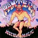Metal Magic on Random Best Pantera Albums