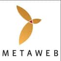 Metaweb Technologies, Inc. on Random Best Google Acquisitions
