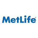 MetLife Inc on Random Best Life Insurance Companies