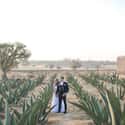 Mexico City on Random Best Cities in Mexico for Destination Weddings