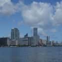 Miami on Random Best US Cities for Architecture