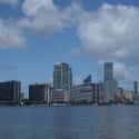 Miami on Random Best US Cities for Nature Lovers
