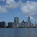 Miami on Random Best US Cities for Nature Lovers