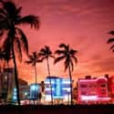 Miami on Random Best Gay Travel Destinations