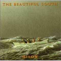 List of All Top Beautiful South Albums, Ranked