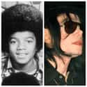 Michael Jackson on Random Celebrities Who Look Worse After Plastic Surgery