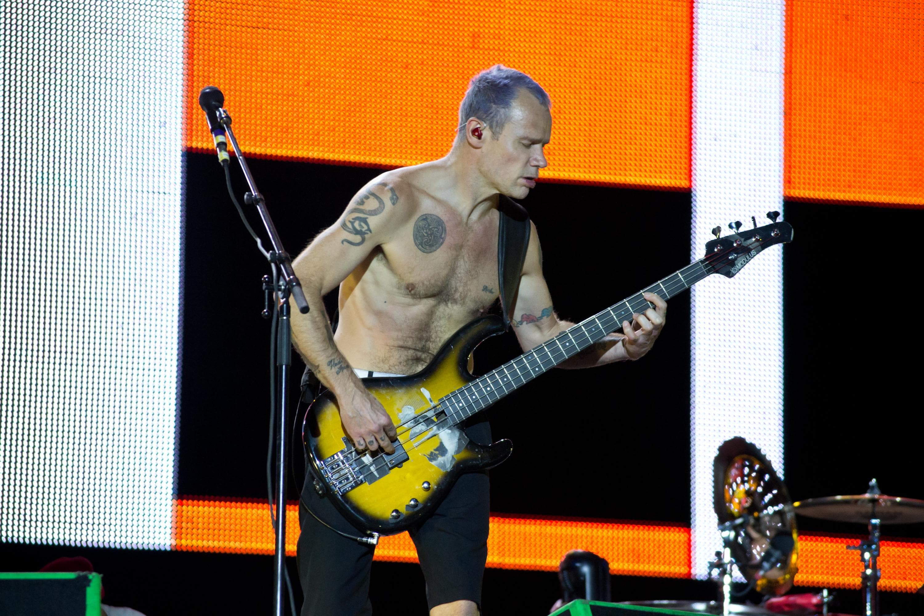 Flea