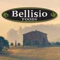 Bellisio Foods on Random Best Frozen Dinner Brands for a Busy Night