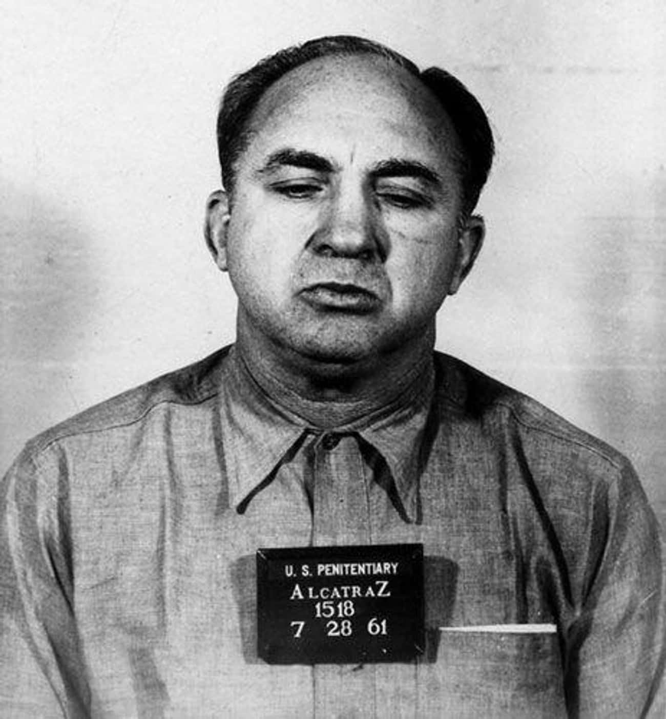 Mickey Cohen Was A Devoted Dog Dad