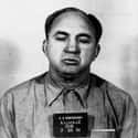 Mickey Cohen on Random Utterly Bizarre Facts About Famous Gangsters