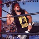 Mick Foley on Random Best WCW Wrestlers