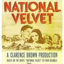 National Velvet on Random Great Movies About Very Smart Young Girls