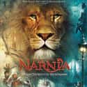 The Chronicles of Narnia: The Lion, the Witch and the Wardrobe on Random Best Live Action Animal Movies for Kids