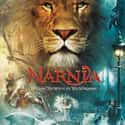 The Chronicles of Narnia: The Lion, the Witch and the Wardrobe on Random Best Disney Live-Action Movies