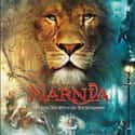 The Chronicles of Narnia: The Lion, the Witch and the Wardrobe on Random Best Film Adaptations of Young Adult Novels