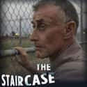 The Staircase on Random Best True Crime TV Shows