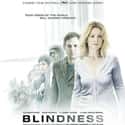 Blindness on Random Best Movies About Infidelity