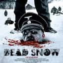 Dead Snow on Random Best Zombie Movies