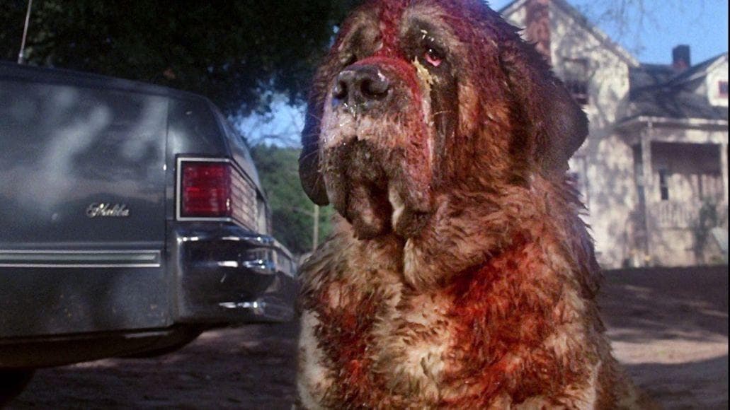 'Cujo' (1983)