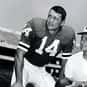Mike Cavan is listed (or ranked) 19 on the list The Best Georgia Bulldogs Quarterbacks of All Time