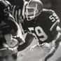 Mike Johnson is listed (or ranked) 5 on the list The Best Cleveland Browns Linebackers of All Time