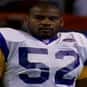 Mike Jones is listed (or ranked) 36 on the list The Best Minnesota Vikings Wide Receivers of All Time