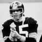 Mike Kruczek is listed (or ranked) 27 on the list The Best Pittsburgh Steelers Quarterbacks of All Time