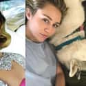 Miley Cyrus on Random Pop Stars With And Without Makeup