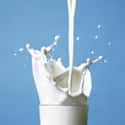 Milk on Random Best Condiments To Keep In Fridge Doo