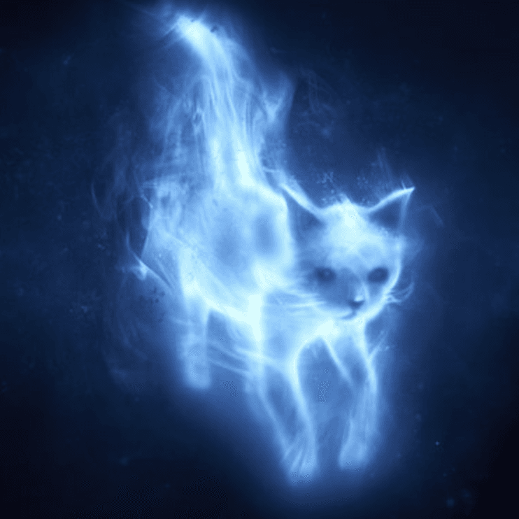 Minerva McGonagall - Cat