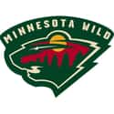 Minnesota Wild on Random Best NHL Teams