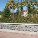 Minnesota Zoo on Random Best Zoos in the United States