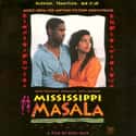 Mississippi Masala on Random Best Black Movies