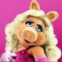 Miss Piggy on Random Most Interesting Muppet Show Characters