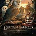 Legend of the Guardians: The Owls of Ga'Hoole on Random Best Movies With A Bird Name In Titl