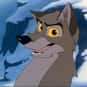 Balto is listed (or ranked) 13 on the list The Greatest Dog Characters of All Time