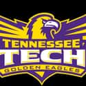 Tennessee Tech Golden Eagles men's basketball on Random Best Ohio Valley Basketball Teams