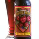 Lost Coast Brewery Raspberry Brown on Random Best American Beers