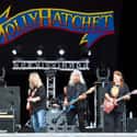 Molly Hatchet on Random Greatest Rock Band Logos