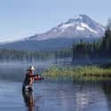Montana on Random Best US States for Fishing