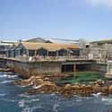 Monterey Bay Aquarium on Random Best Aquariums in the US