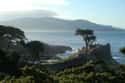 Monterey on Random Best Destinations for a Beach Wedding
