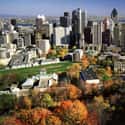 Montreal on Random Best Cities to Celebrate an Anniversary
