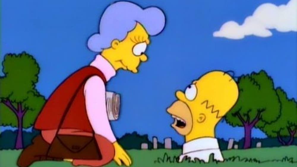 Spring Break Simpsons Episode Fake Id