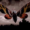 Mothra on Random Best Monsters From The 'Godzilla' Movies