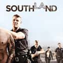 Southland on Random TV Shows Canceled Before Their Time